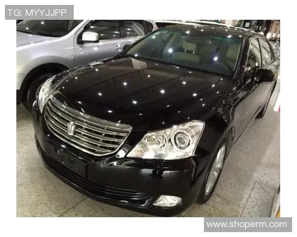 北京排球队洲际杯战术解析与表现评估全景分析